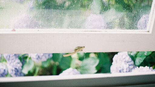 唯一無二の味わいがある。タイプ別おすすめフィルムカメラ（一眼）7選