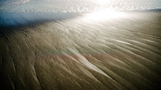 【作例つき】最初の一本ならコレ！おすすめのオールドレンズ5選