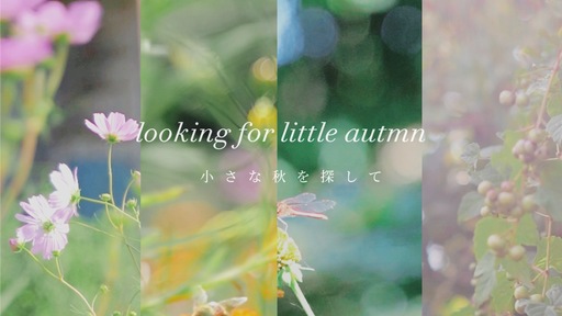 【作例付き】人気アプリ「CapCut」でリール動画を作ってみませんか