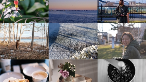 自分らしい写真表現を。「富士フイルムのフィルムシミュレーション」全18種類を紹介