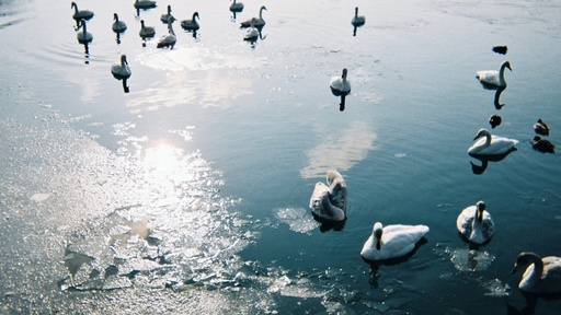 限られた27枚に何を写そう。「写ルンです」で撮る冬の北海道