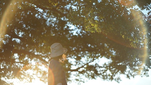 違いを知って積極的に取り入れたいフレアとゴースト