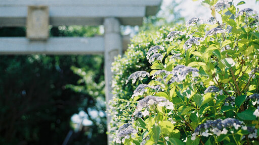 【2021年現行販売】定番から個性派まで。おすすめフィルム11種類をご紹介