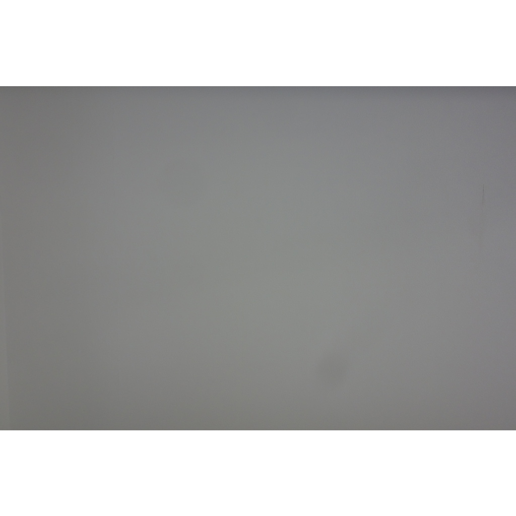 SONY Cyber-shot DSC-RX100