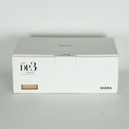 SIGMA DP3 Merrill