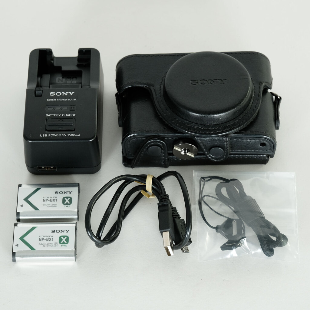 SONY Cyber-shot RX100M3 コンデジ　付属品あり SONY Cyber-shot DSC-RX100M3の出品 | ONE SCENE（ワンシーン）