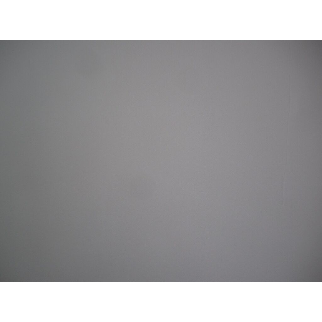 Canon IXY 400F オレンジ