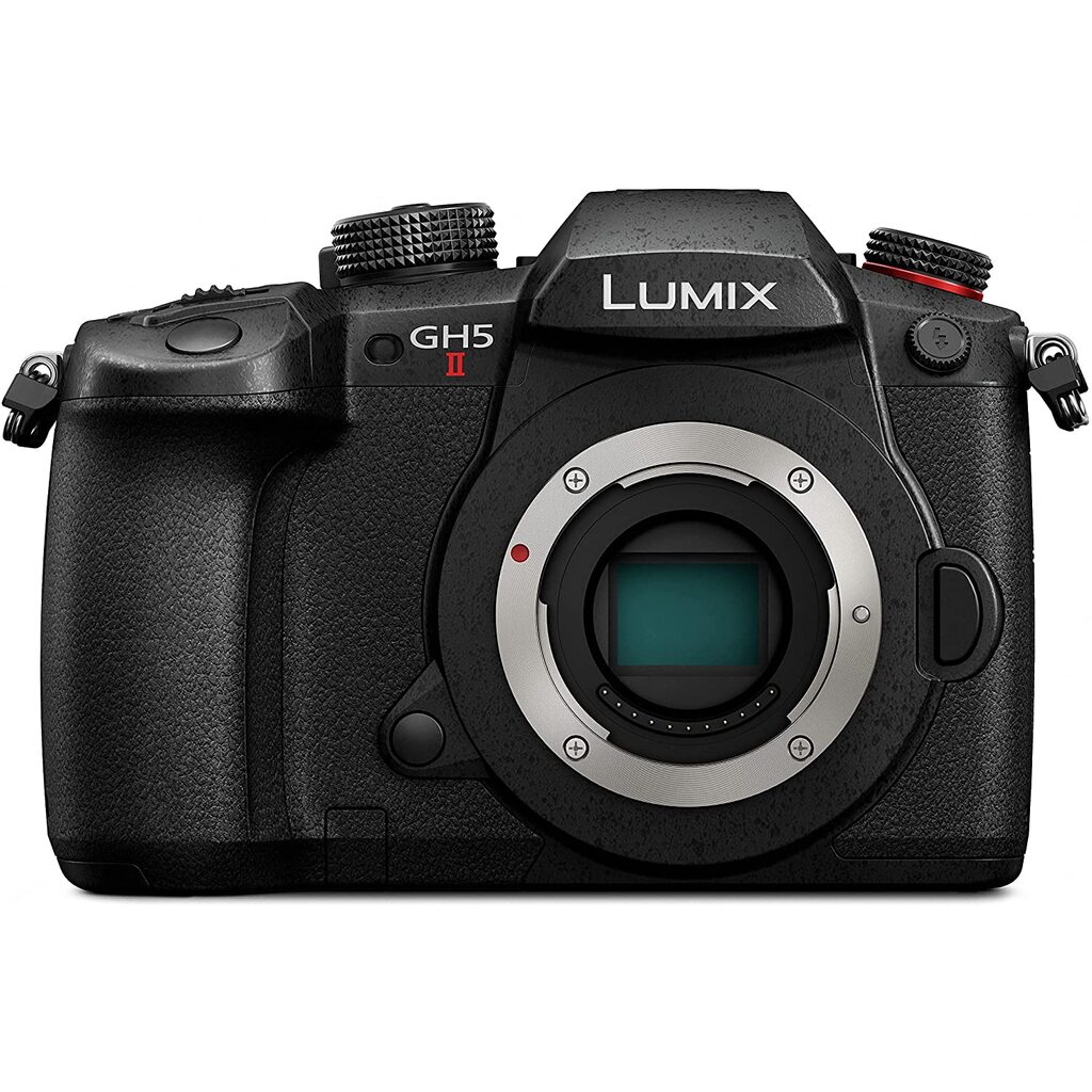 ハ*︎様 Panasonic LUMIX DC-GH5美品 動作確認済シャッター ハ*︎様 Panasonic LUMIX DC-GH5美品 動作確認済シャッター ハ*︎様