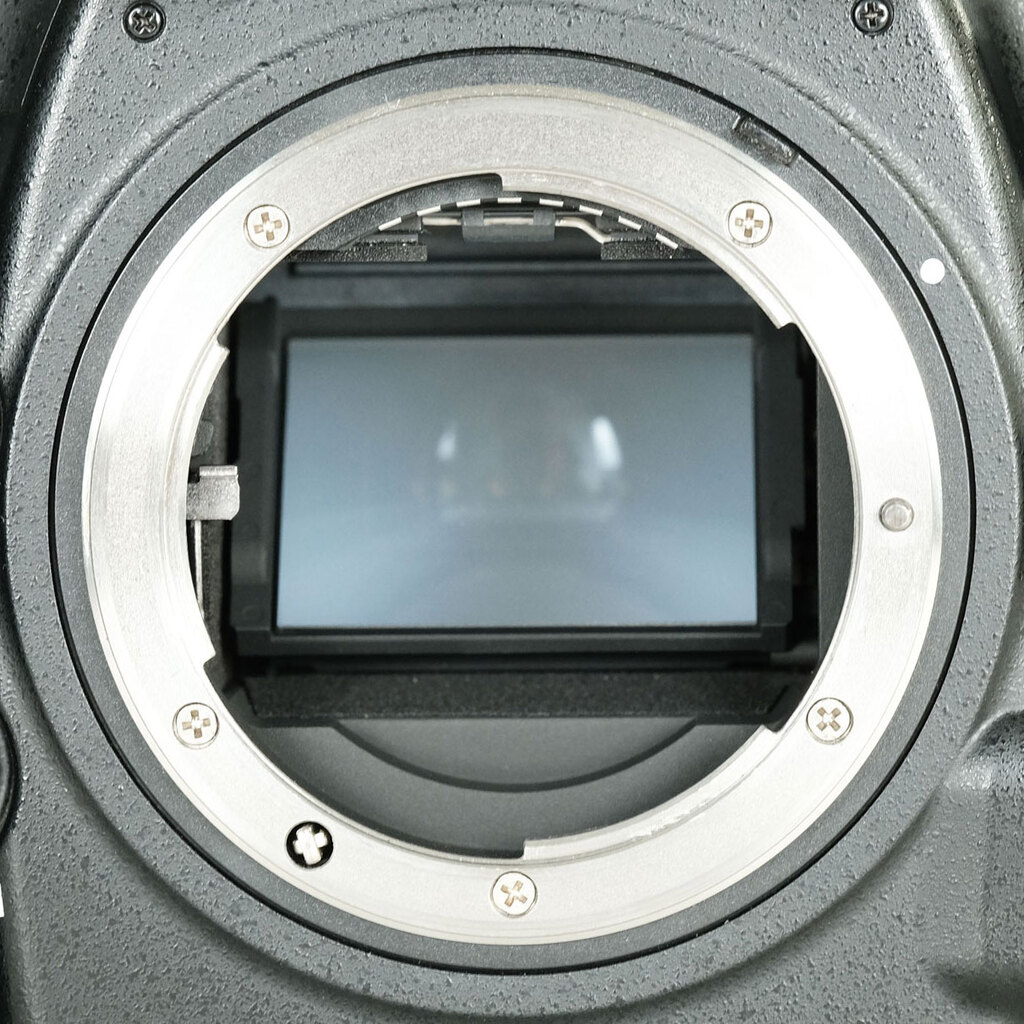 Nikon D850の出品 | ONE SCENE（ワンシーン）