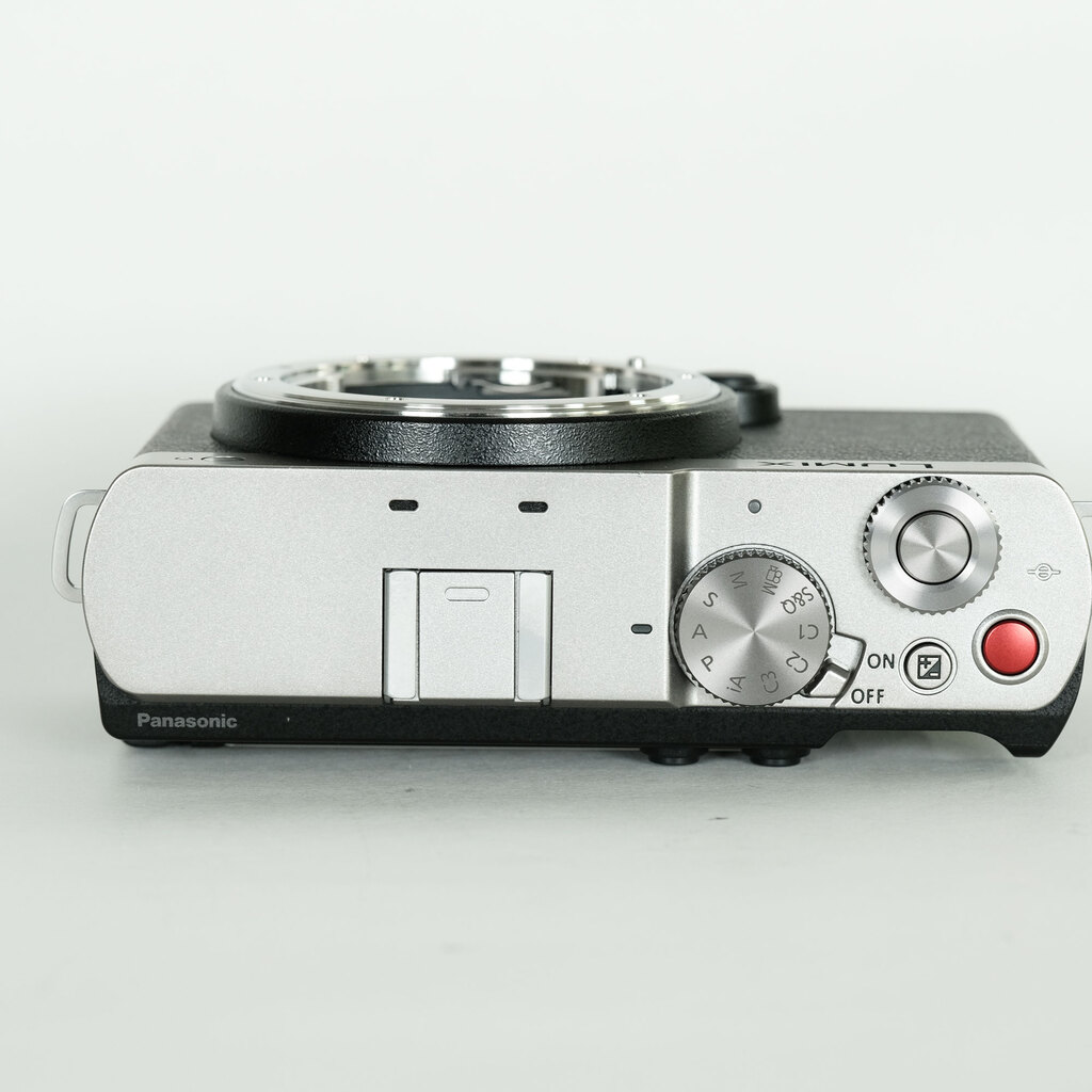 Panasonic LUMIX DC-S9