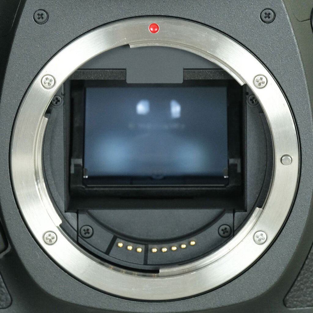 Canon EOS 5Ds / 5DsR