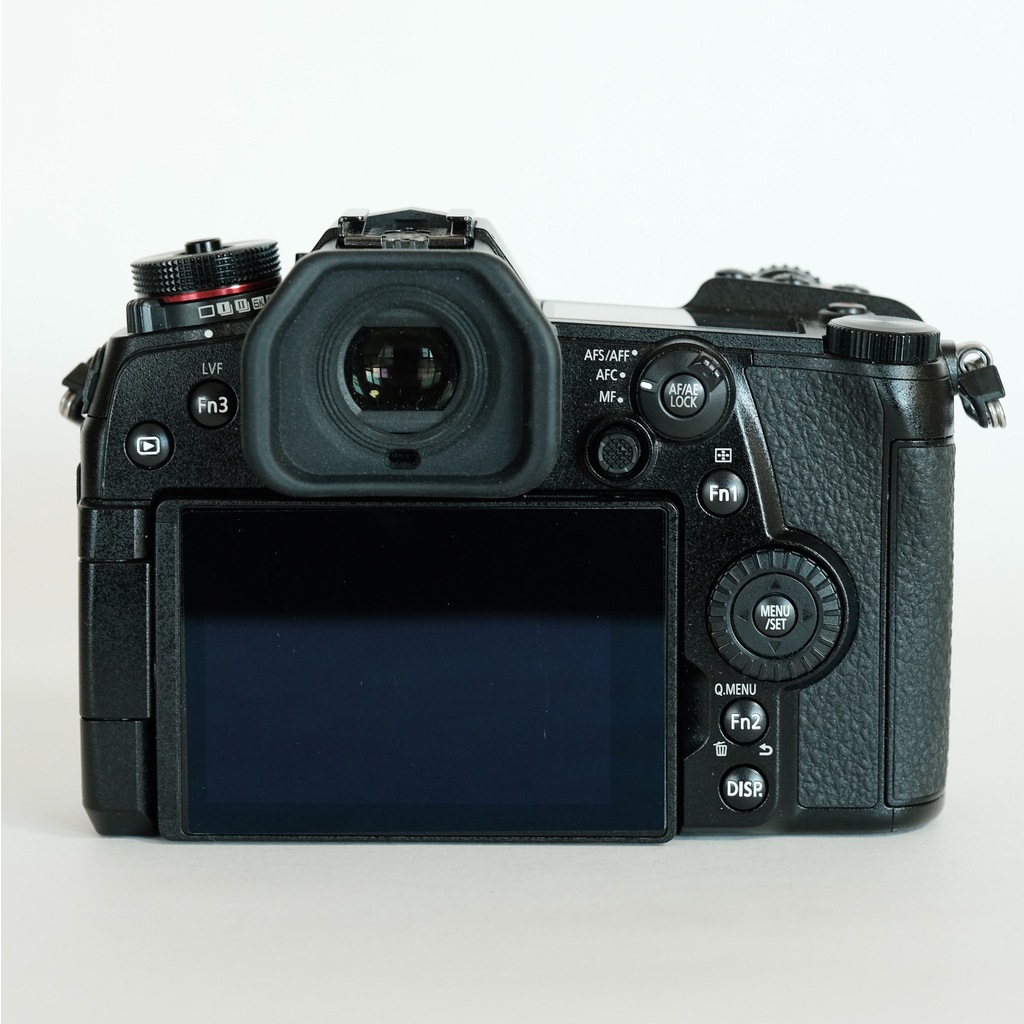 デジタルカメラ Panasonic DC-G9 子供の撮影にはPanasonic DC-G9を買っとけという話 | つづれやノ