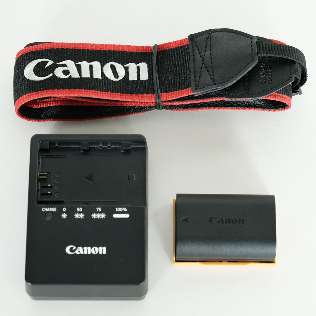 Canon EOS80D+レンズ4つ+その他備品セット(箱無し) SIGMA100-400.jpg
