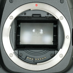 Canon EOS 5D MarkII ボディ