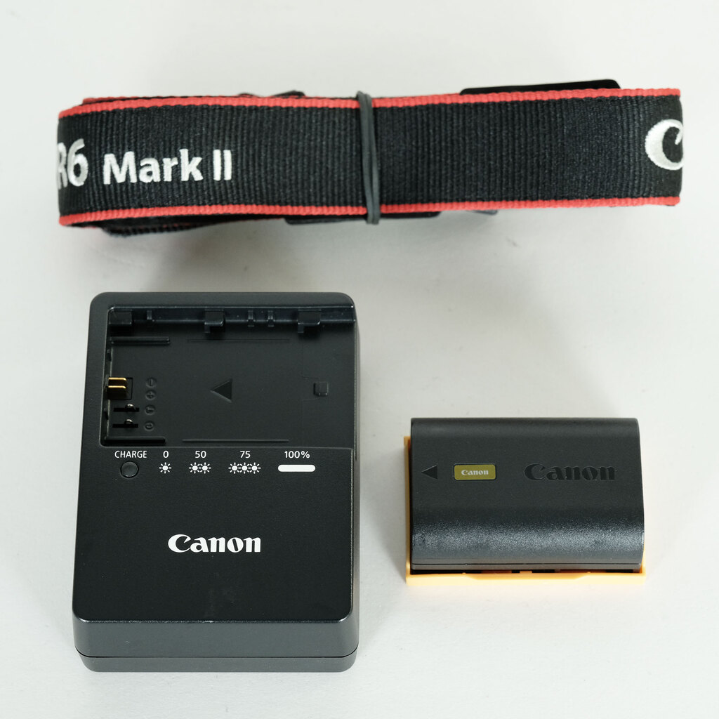 Canon EOS R6 Mark II