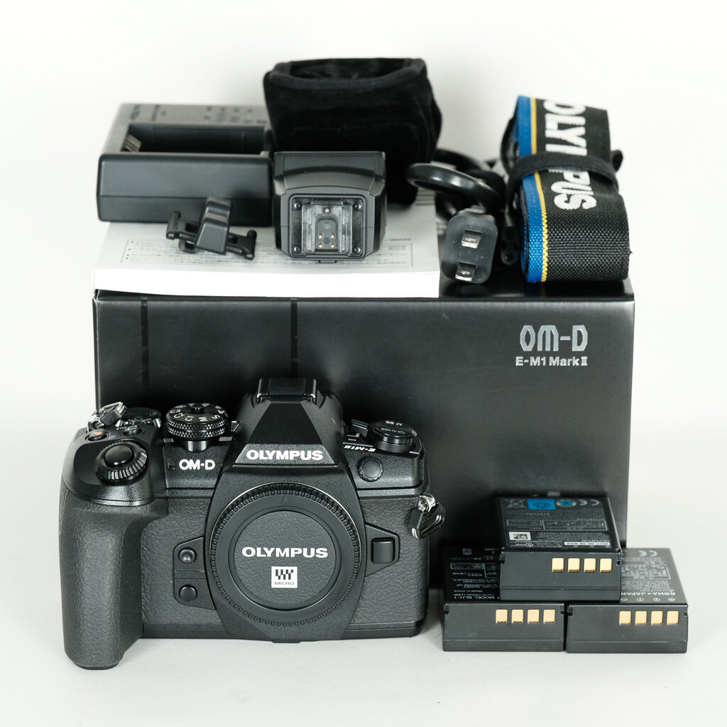 Olympus OM-D E-M10 Ⅱ ★ レンズ、ケース付き ★ジャンク Amazon | Koowl 対応 オリンパス OM-D E-M10 Mark II OM D E M10