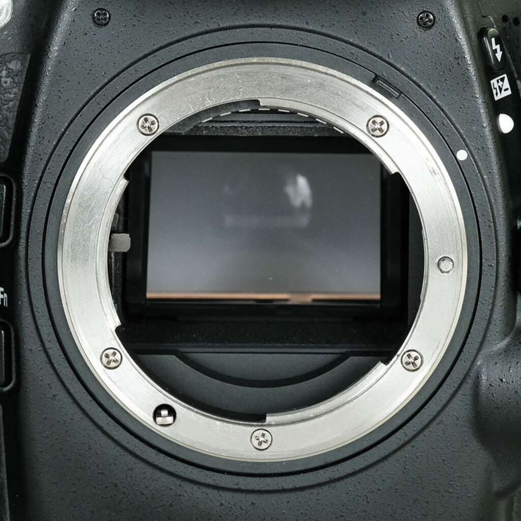 Nikon D800