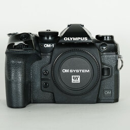 OM SYSTEM OM-1