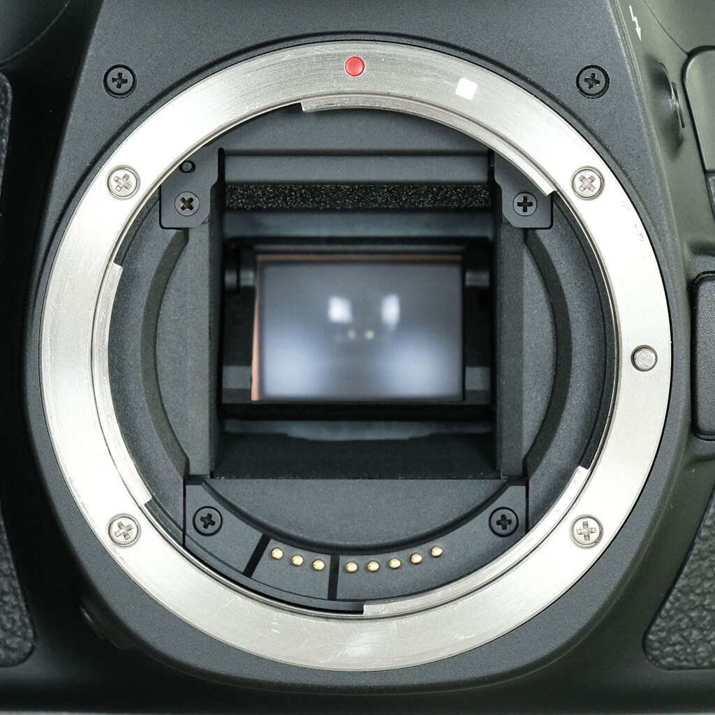 Canon EOS 70Dの出品 | ONE SCENE（ワンシーン）