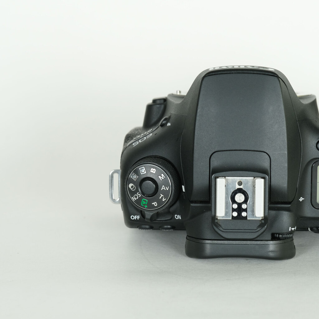 Canon EOS 90Dの出品 | ONE SCENE（ワンシーン）