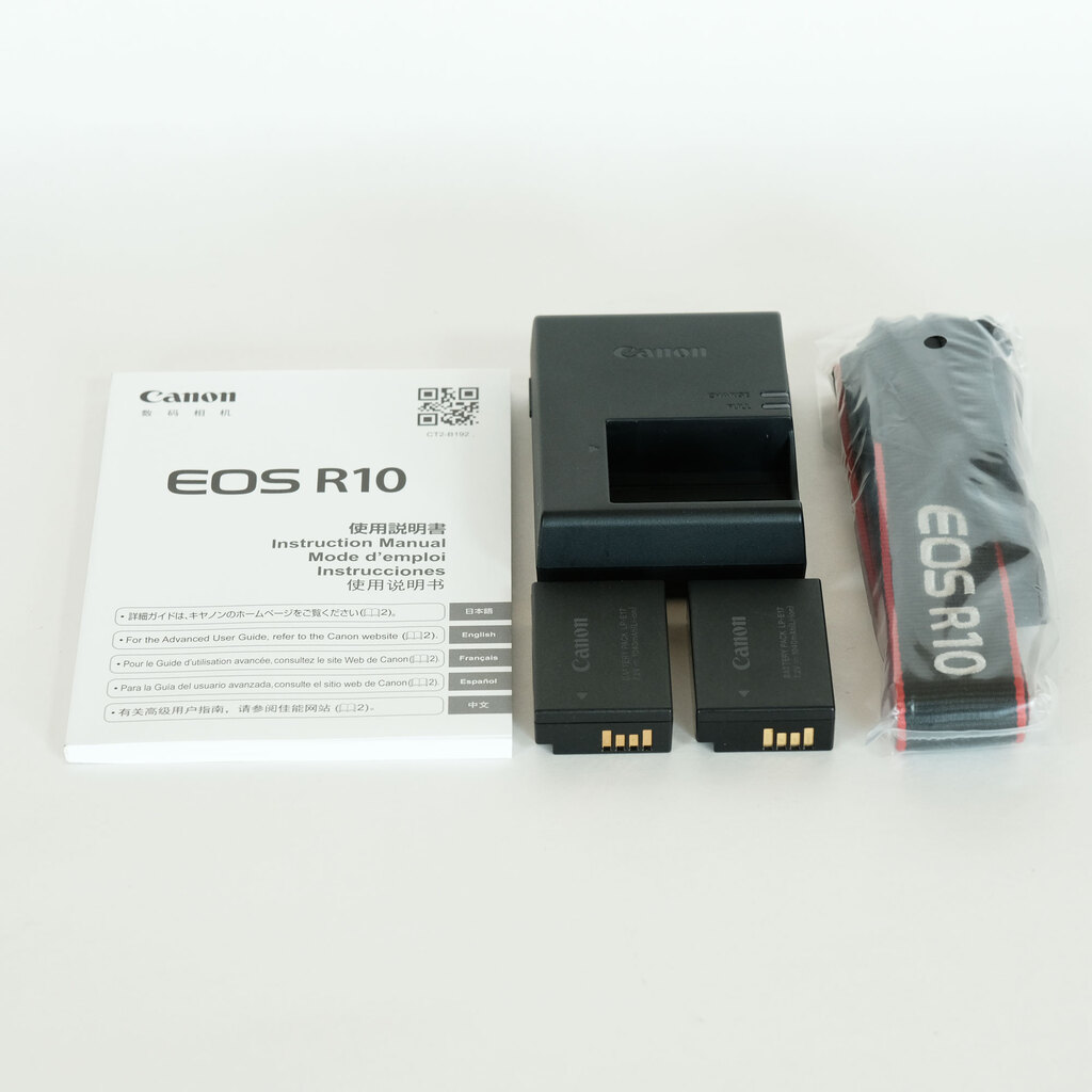 【ボディ単体】Canon EOS R10　バッテリー2個付き キヤノン LP-E17 Canon キャノン 互換バッテリー 2個と 互換