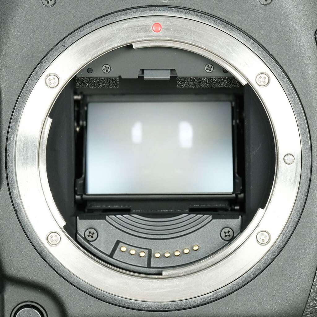 Canon EOS-1D X Mark II