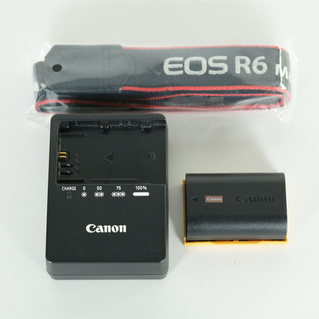 Canon EOS R6 Mark II Canon EOS R6 Mark II