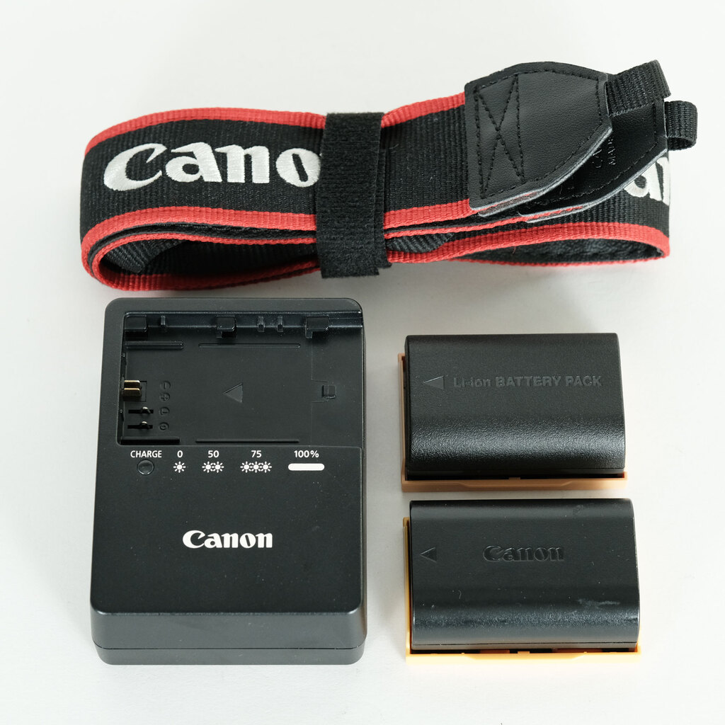 Canon EOS 80D ジャンク品 Canon EOS 80Dの出品 | ONE SCENE（ワンシーン）
