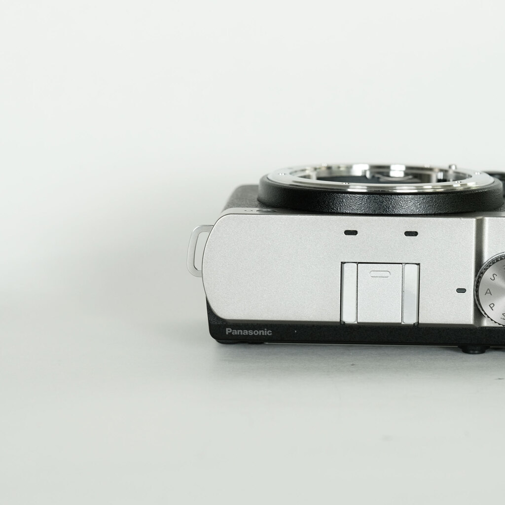 Panasonic LUMIX DC-S9