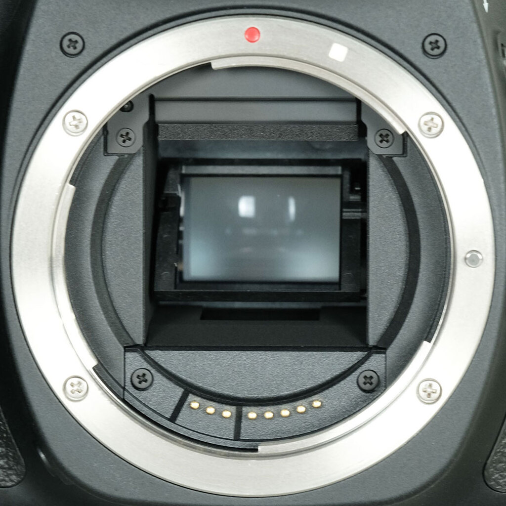 Canon EOS 80Dの出品 | ONE SCENE（ワンシーン）