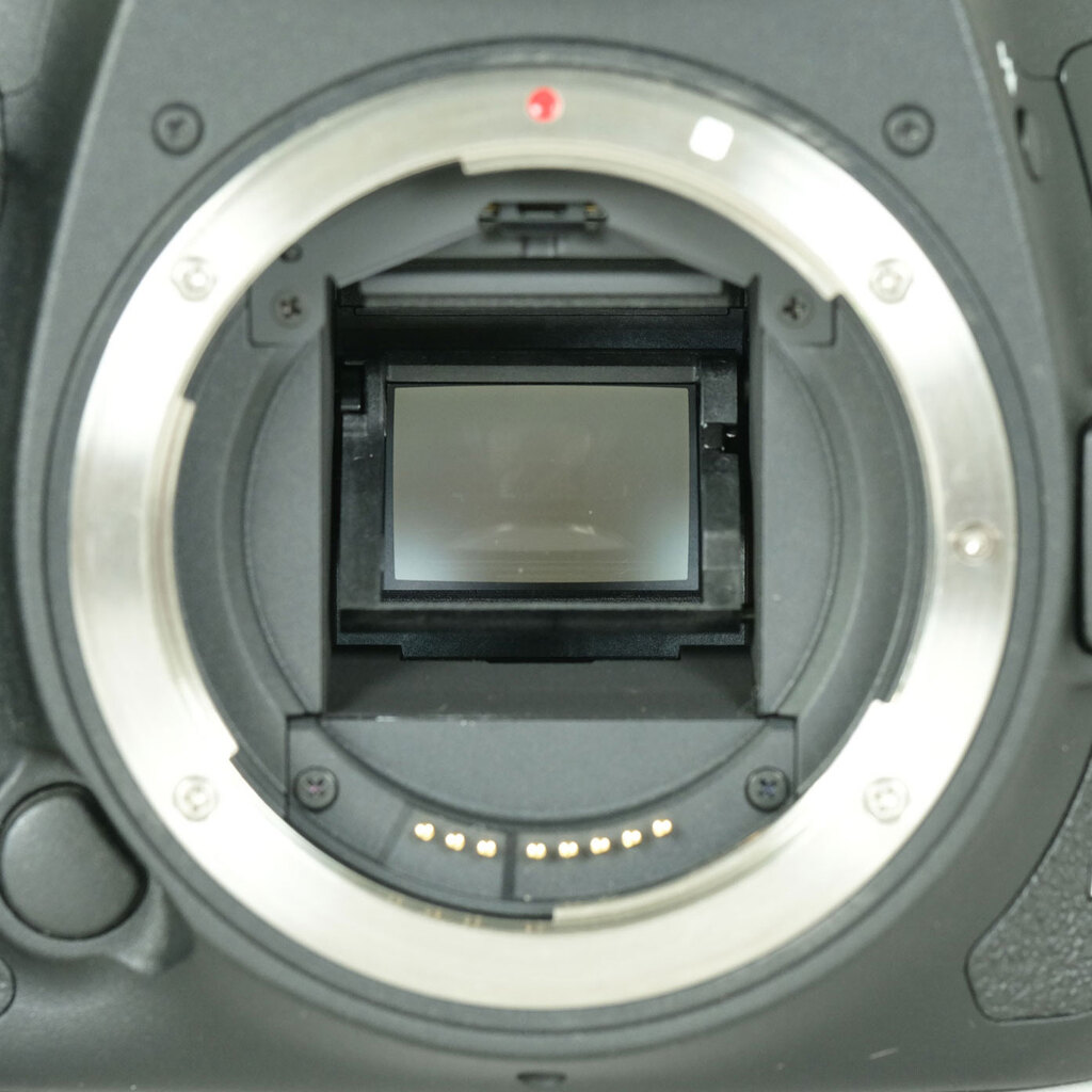 Canon EOS 7D Mark II