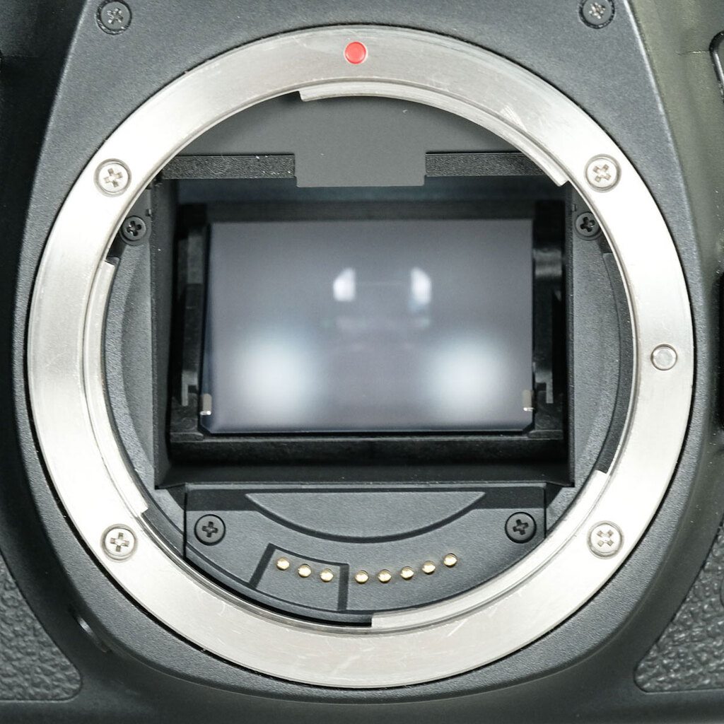 Canon EOS 6D Mark II