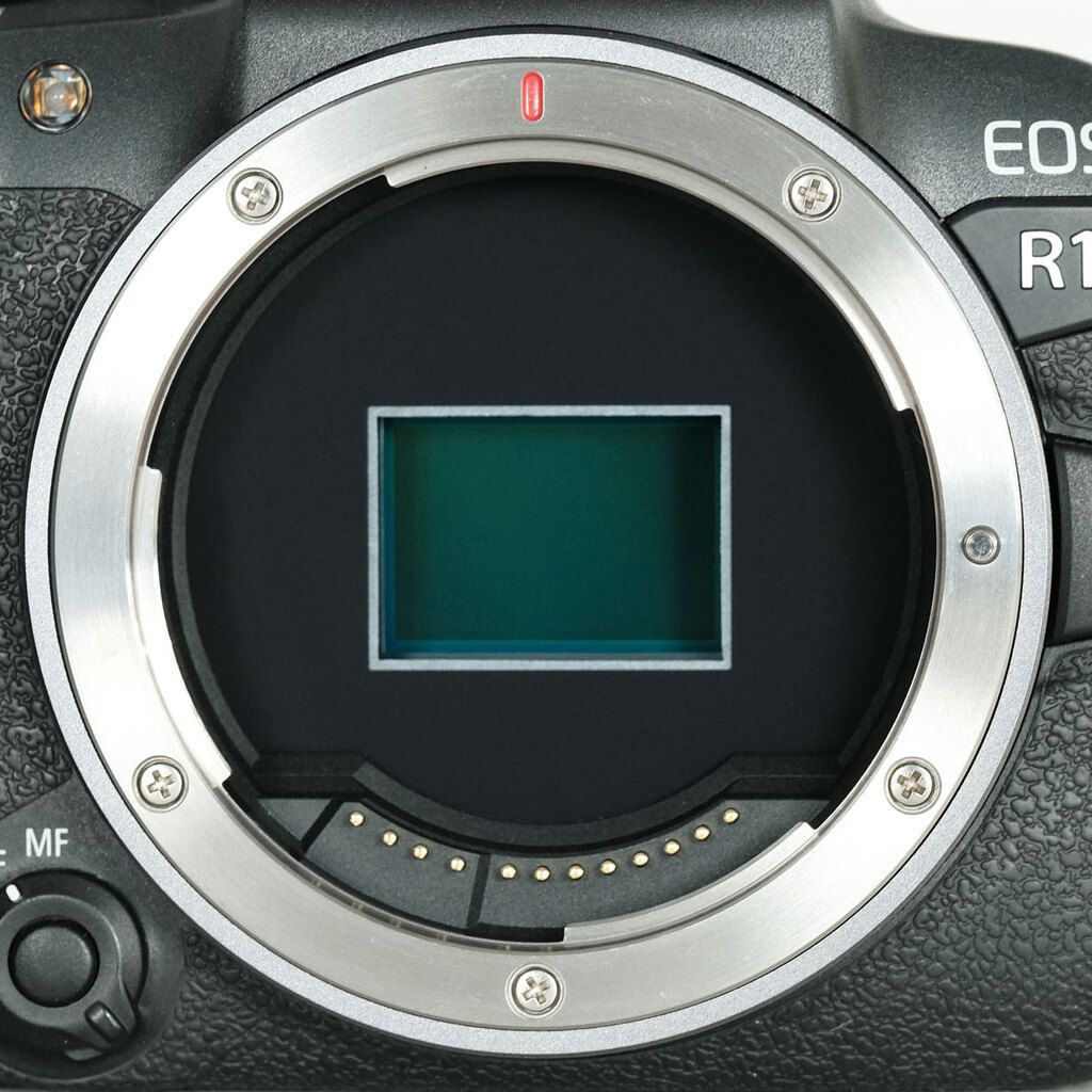 Canon EOS R10 Canon EOS R10
