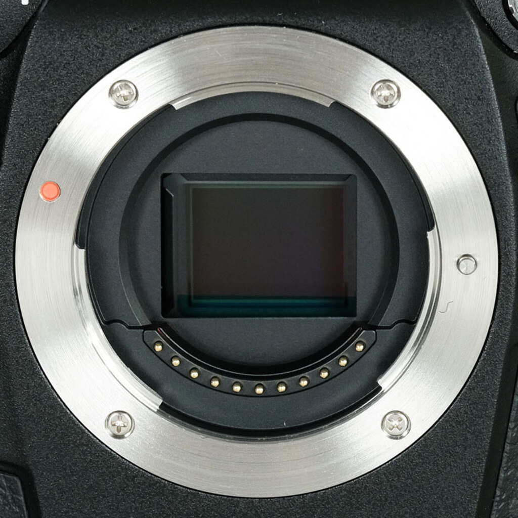 OM SYSTEM OM-1 Mark II