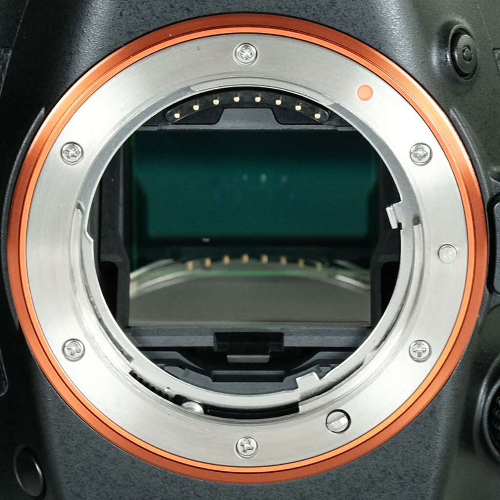 SONY α99(SLT-A99V) SONY α99(SLT-A99V)