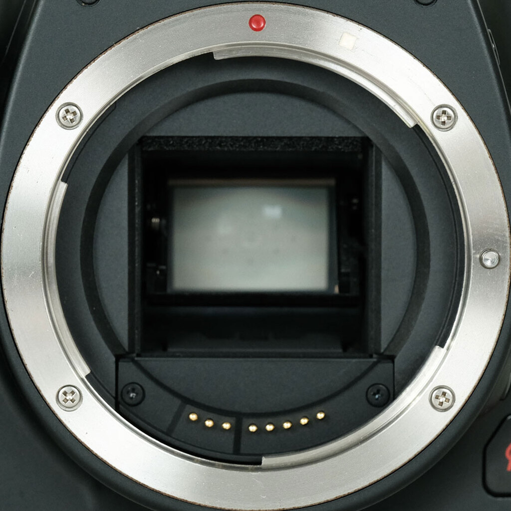 Canon EOS Kiss X2 ボディの出品 | ONE SCENE（ワンシーン）