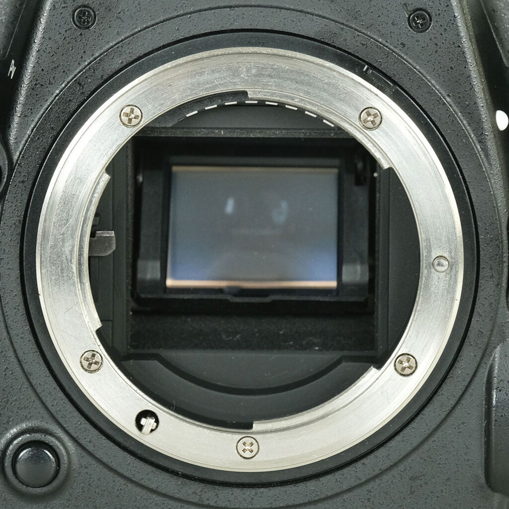 Nikon D500 Nikon D500