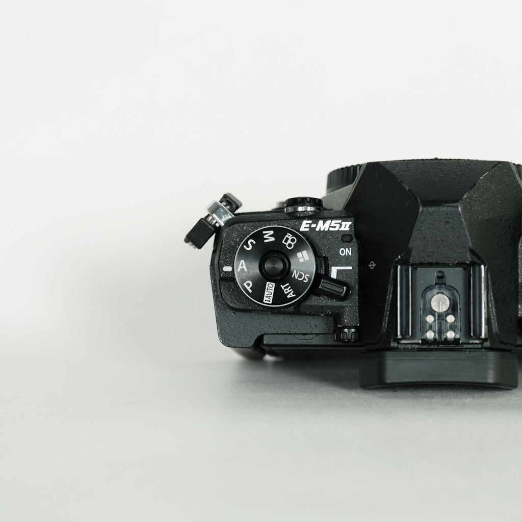 OLYMPUS OM-D E-M5 Mark IIの出品 | ONE SCENE（ワンシーン）