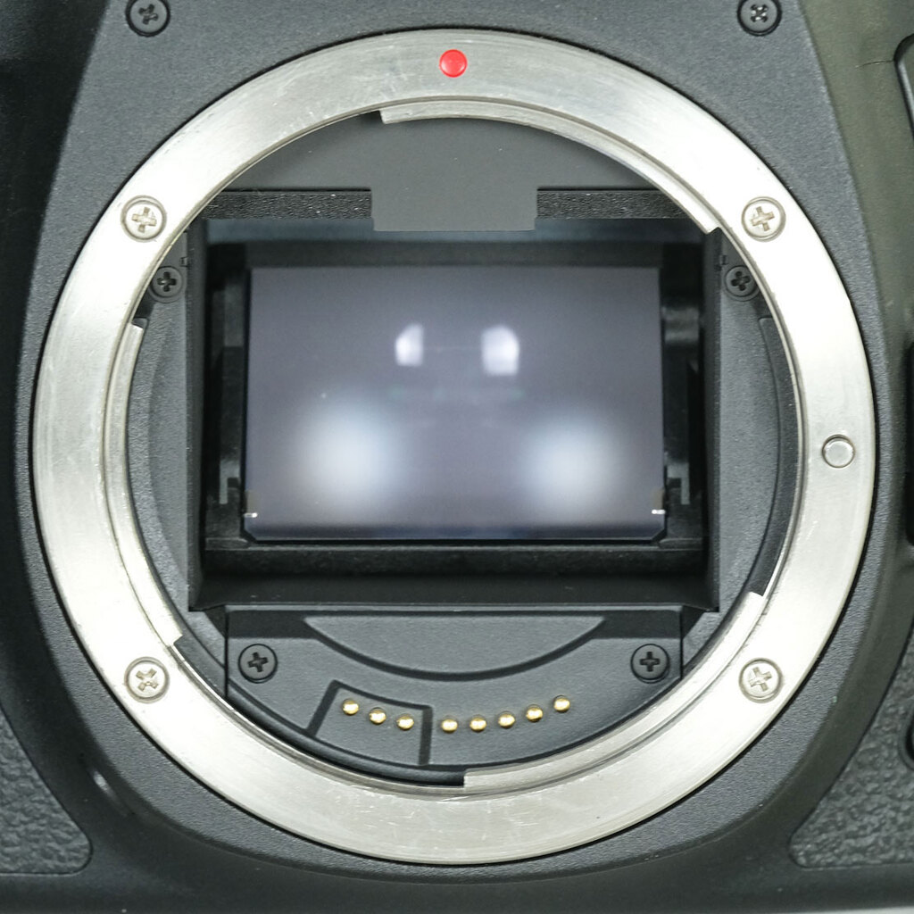 Canon EOS 6D Mark II