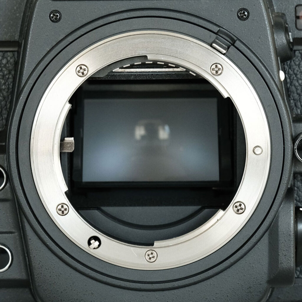 Nikon Dfの出品 | ONE SCENE（ワンシーン）