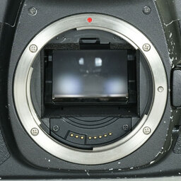 Canon EOS 5D MarkII ボディ