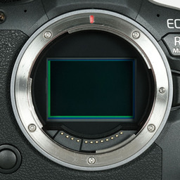 Canon EOS R6 Mark II