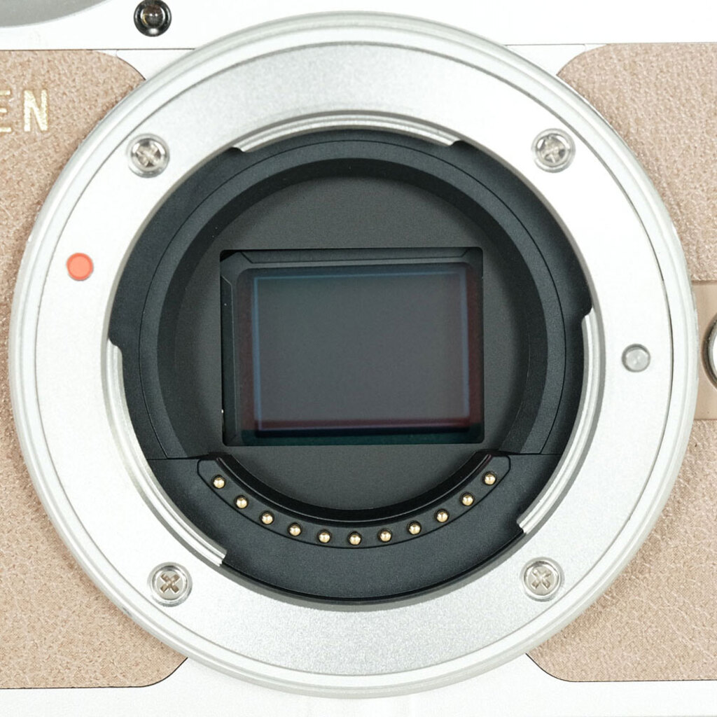 OLYMPUS PEN E-PL9の出品 | ONE SCENE（ワンシーン）