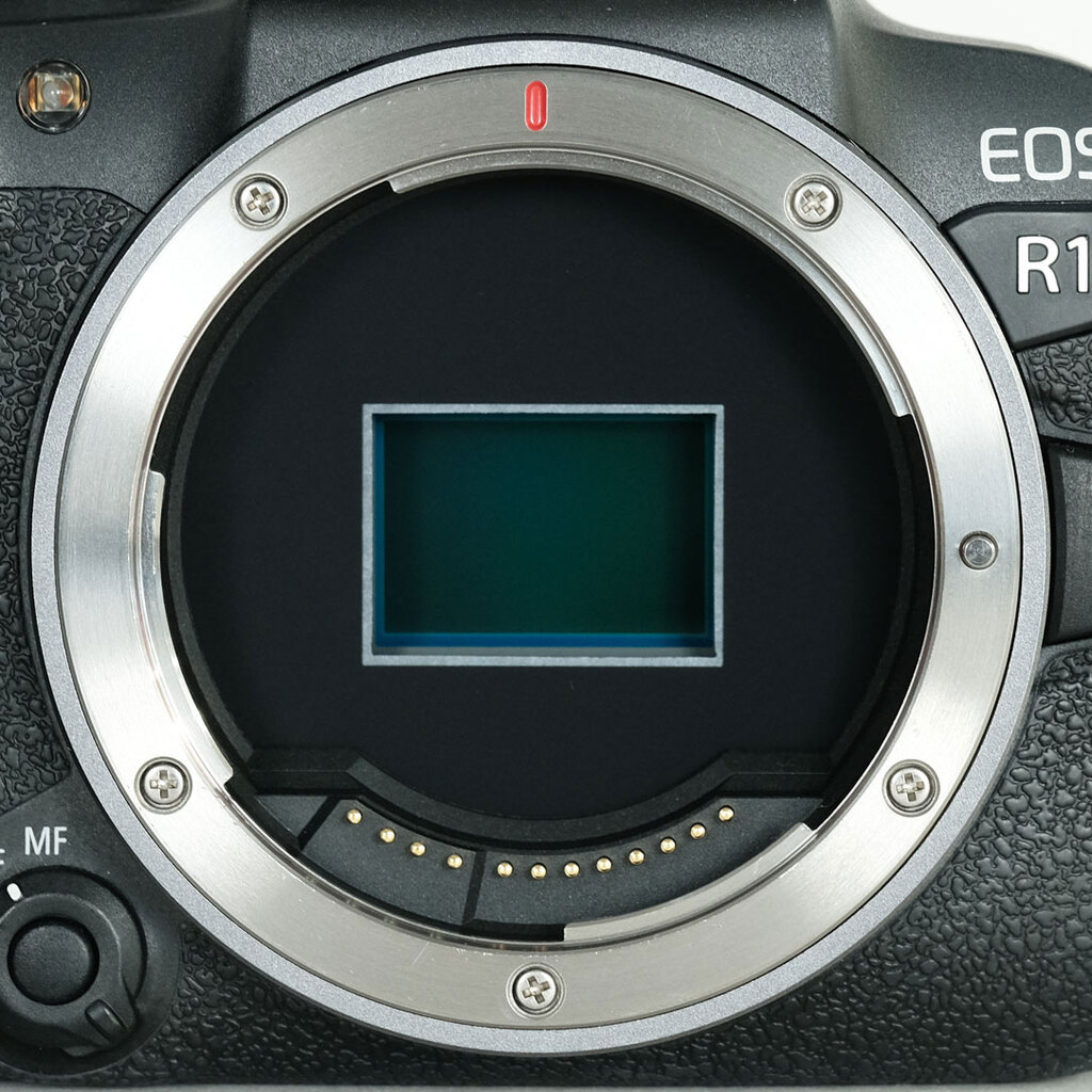 Canon EOS R10