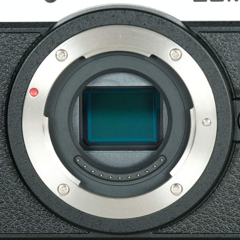 Panasonic LUMIX DMC-GX8 ボディ シルバーの出品 | ONE SCENE