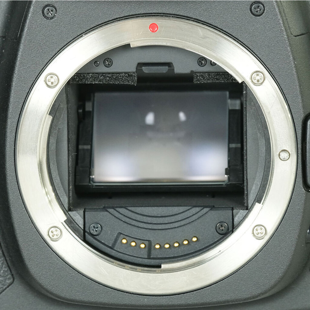 Canon EOS 5D MarkII ボディ