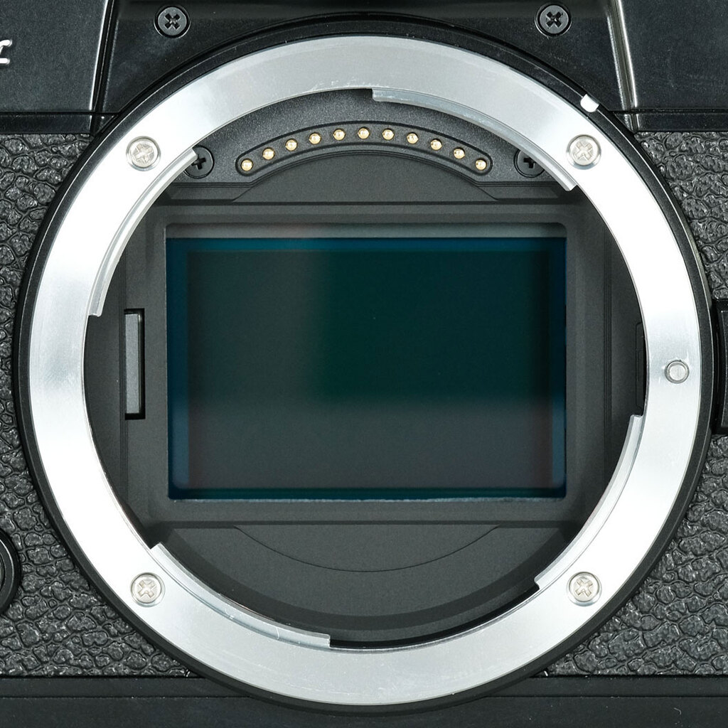 Nikon Z fの出品 | ONE SCENE（ワンシーン）