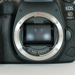 Canon EOS 6D Mark II