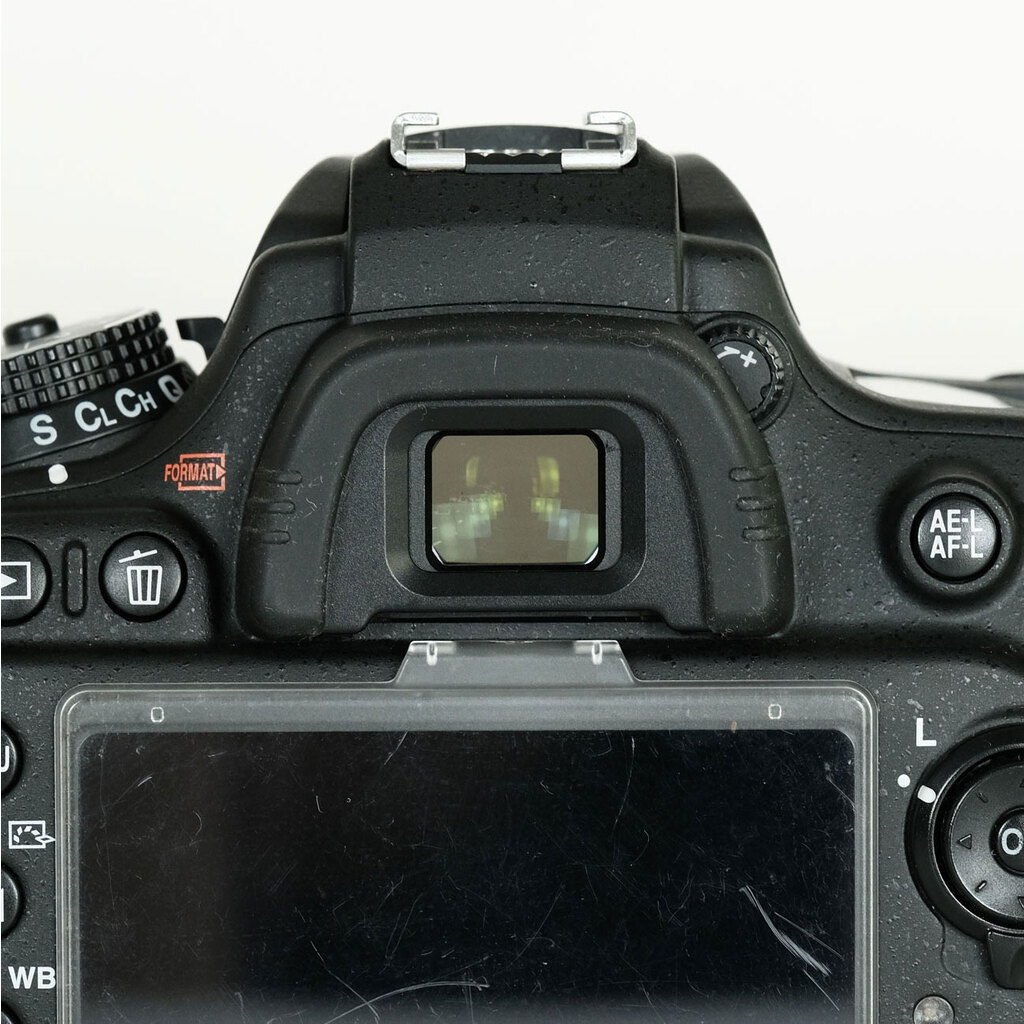 Nikon D600