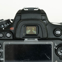 Nikon D600